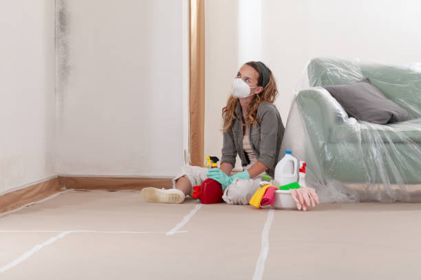 Trusted Mold Remediation service in Luthersburg, PA - Cheap Mold Removal